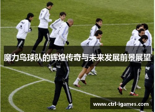 魔力鸟球队的辉煌传奇与未来发展前景展望